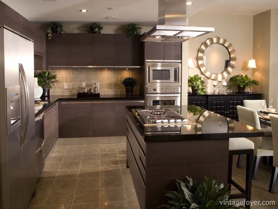 Contemporary cabinet design with dark toned hardwood, beautiful quartz countertops, and high end stainless steel appliances. 